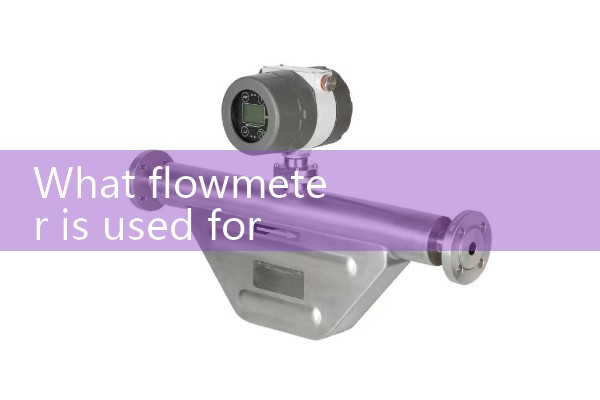 What flowmeter is used for steam measurement